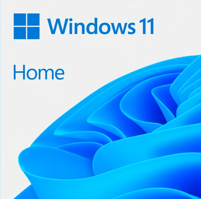 Windows 11