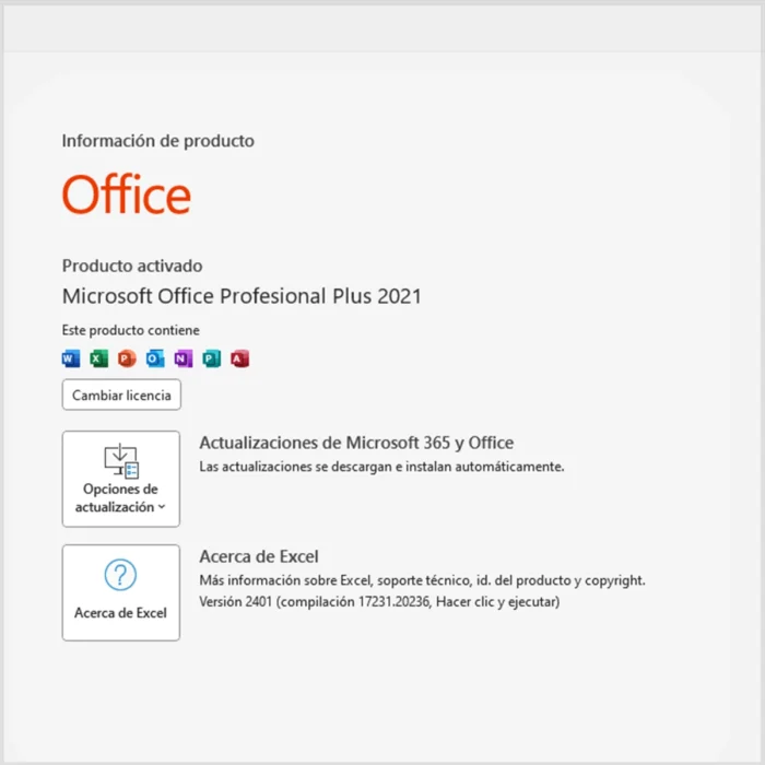 Office 2021 ProPlus - Activado