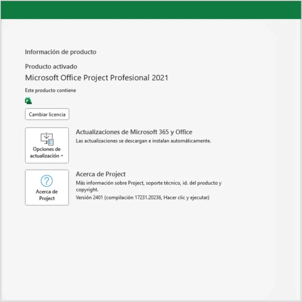 Project 2021 Professional Bind - 1 PC