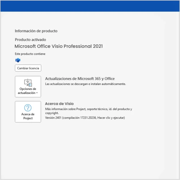 Visio 2021 Professional Bind - 1 PC